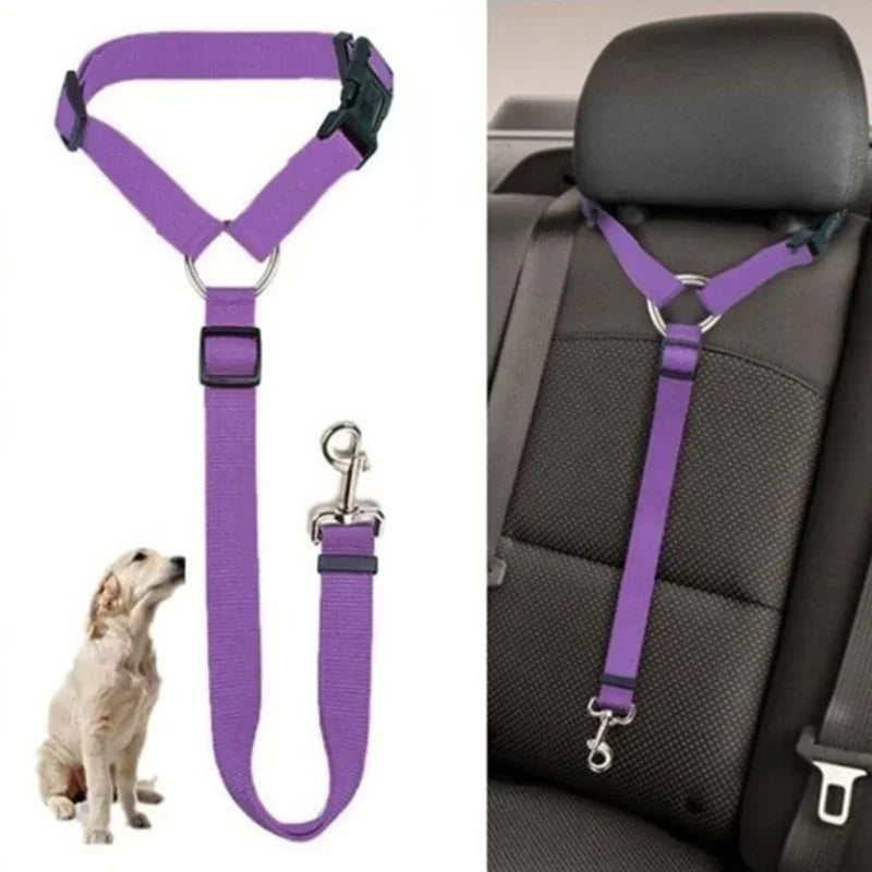 Centură de Siguranță Auto pentru Câini